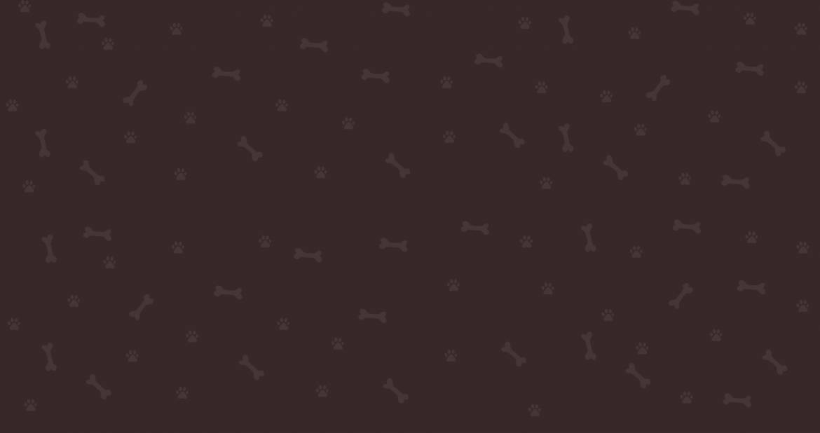 background-5-1.jpg